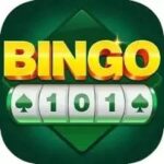 Bingo 101..