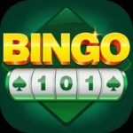 Bingo 101